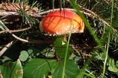 2017-09-17_144731