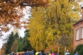 2018-11-11_093743