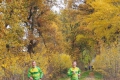 2018-11-11_095337