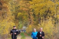 2018-11-11_095617