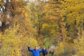 2018-11-11_095704