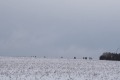 2023-03-11_Winterlauf_Gyhum_03